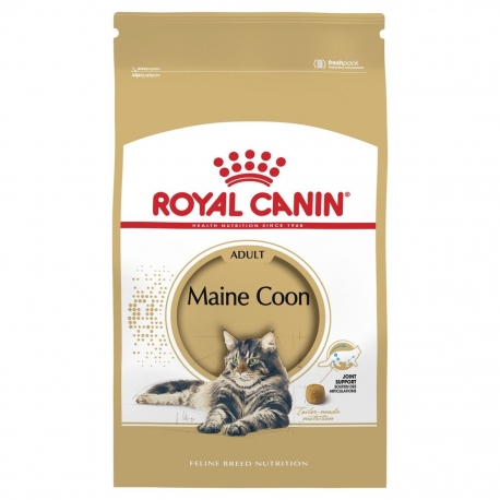 Royal Canin Maine Coon 31 4kg kassitoit