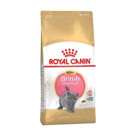 Royal Canin Kitten British Shorthair kassitoit 2kg