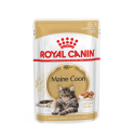 Royal Canin FBN MAINE COON WET kassitoit 12x85g