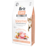 Brit Care Cat Grain-Free Sensitive Healthy Digestion kassitoit 7kg