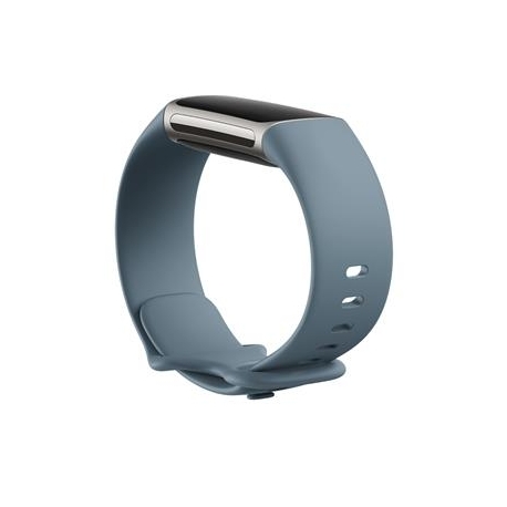 Fitbit Infinity Band Charge 5, large, sinine - Kellarihm