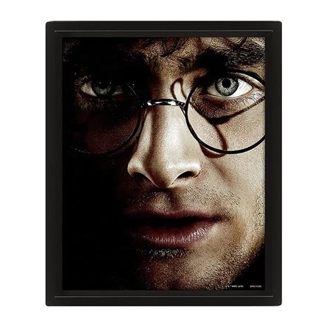 Harry Potter vs Voldemort, 20x25 cm, 3D - Plakat