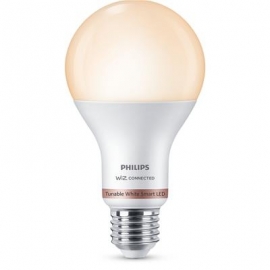 Philips WiZ LED Smart Bulb, 100 W, E27, valge - Nutivalgusti