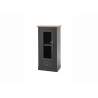 Vitriinkapp WESTMINSTER tumehall / tamm, 58x42xH122 cm