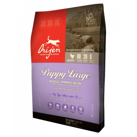 Orijen koeratoit Puppy Large 11,4kg teraviljavaba